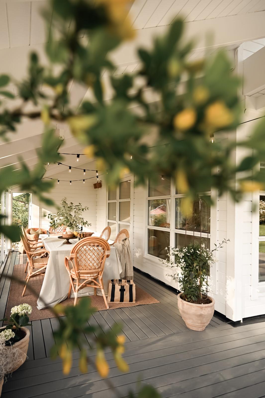 Terrace in the evening light